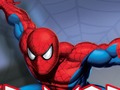 Gêm Warrior Spider ar-lein