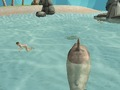 Gêm Lladrwr Traeth Simkladwr Shark  ar-lein
