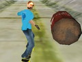Gêm Skater 3ydd rhyfeddol  ar-lein