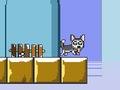 Gêm Mr Jump Husky ar-lein