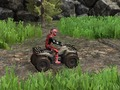 Gêm Treialon Offroad ATV 2  ar-lein