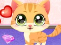 Gêm Gofal Hwyl Kitty  ar-lein
