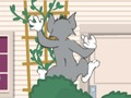 Gêm Tom und Jerry: Wasserbomben Wahnsinn ar-lein
