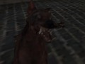 Gêm Y Fyddin Zombie Natsïaidd  ar-lein