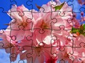 Gêm Pos Jig-so: Blodau  ar-lein