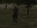 Gêm Asiantaeth FPS: Coedwig  ar-lein