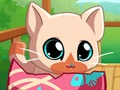 Gêm Fy Pocket Pets Kitty Cat  ar-lein