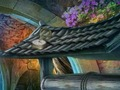 Gêm Aur Oer  ar-lein