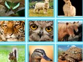 Gêm Cwis EG Pic  ar-lein