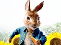 Gêm Peter Rabbit: Trafferth yn y Ddrysfa  ar-lein
