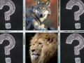 Gêm Cof Match Anifeiliaid Jungle  ar-lein