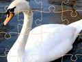 Gêm Her Pos Swan  ar-lein