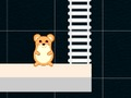 Gêm Amser Hamster Clyfar  ar-lein