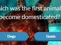 Gêm Trivia Anifeiliaid  ar-lein