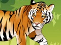 Gêm Lliwio Teigr Angry  ar-lein