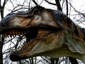 Gêm Jig-so Deinosor T-Rex  ar-lein