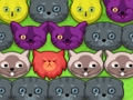 Gêm Kitties pop-pop  ar-lein