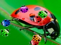Gêm Gêm Ladybug3  ar-lein