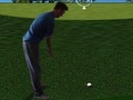 Gêm Flash Golff 3D  ar-lein