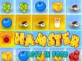 Gêm Hamster ar Goll Mewn Bwyd  ar-lein