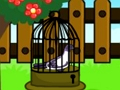 Gêm Dianc Dove ar-lein