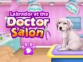 Gêm Labrador yn y salon meddyg  ar-lein