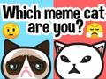 Gêm Pa Meme Cat Ydych chi?  ar-lein