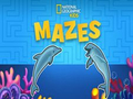 Gêm Drysfeydd Nat Geo Kids  ar-lein