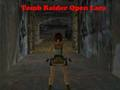 Gêm Tomb Raider Agor Lara  ar-lein