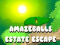 Gêm Dianc Stad Amazeballs  ar-lein