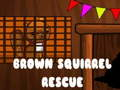 Gêm Achub Gwiwerod Brown  ar-lein