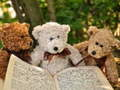 Gêm Jig-so Cuddly Tri Tedi  ar-lein