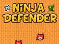 Gêm Amddiffynnwr Ninja  ar-lein