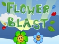 Gêm Blast Blodau  ar-lein