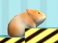 Gêm Hamster I gadarnhau  ar-lein