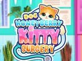Gêm Meddygfa Kitty Doc HoneyBerry  ar-lein