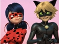 Gêm Buan Fach Gwyrthiol a Phos Jig-so Cat Noir  ar-lein