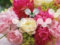 Gêm Pretty Blossom Wallpaper Dianc  ar-lein