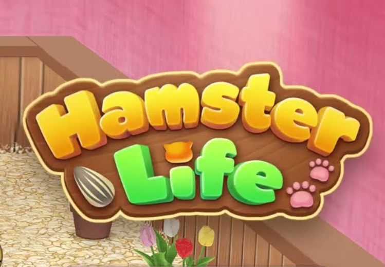Gêm Pos Bywyd Hamster  ar-lein