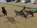 Gêm Rhedeg Cat Cat Race  ar-lein