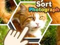 Gêm Trefnu Ffotograff  ar-lein