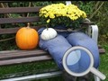 Gêm Gardd yr Hydref Dewch o hyd i 100 o ieir bach yr haf  ar-lein
