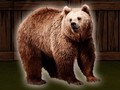 Gêm Achub yr Arth Grizzly  ar-lein