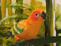 Gêm Pos Budgie Ciwt  ar-lein