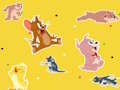 Gêm Sioe Tom a Jerry Dewch o hyd iddo!  ar-lein