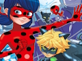 Gêm Ladybug Dewch o Hyd i'r Gwahaniaethau  ar-lein