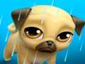 Gêm Fy Rhith anifail anwes Louie y Pug  ar-lein