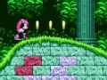 Gêm Mighty & Ray Yn Sonic 2  ar-lein