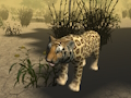 Gêm Efelychydd Hela Cheetah Affricanaidd  ar-lein