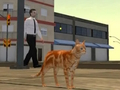 Gêm Efelychydd Cat City  ar-lein